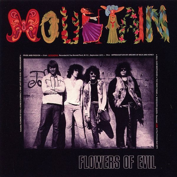 Flowers Of Evil MOUNTAIN